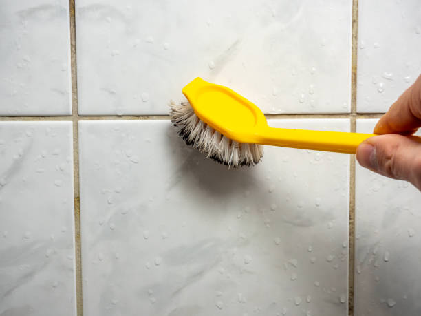 Best Mold Removal Near Me  in Belpre, OH
